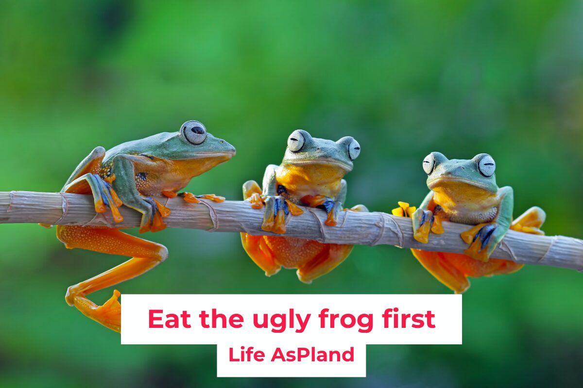 Three frogs sat on a branch